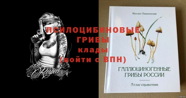 MESCALINE Надым