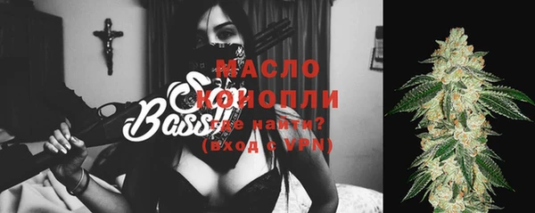 тгк Нея