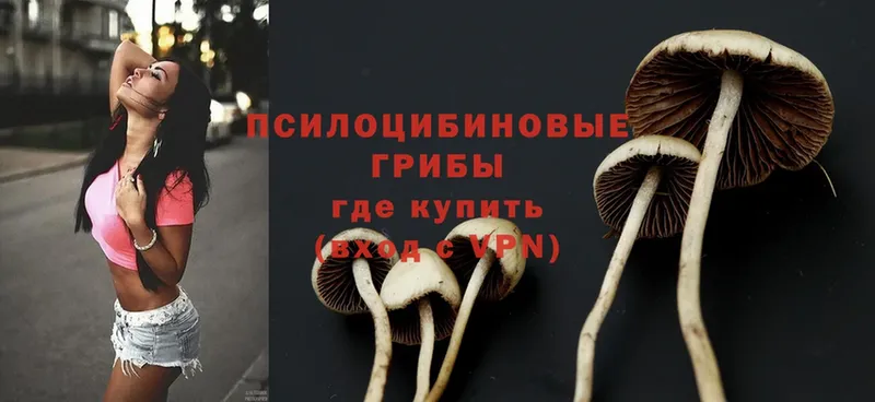 Галлюциногенные грибы Magic Shrooms  где купить наркотик  Разумное 