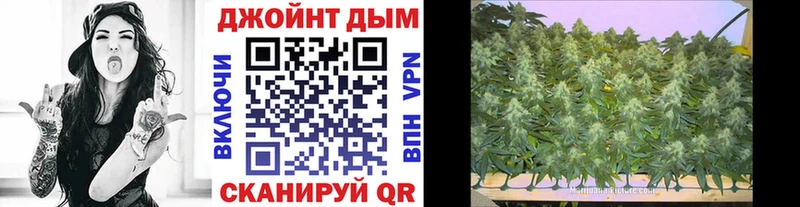 hydra как войти Разумное Канабис планчик